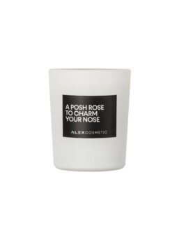 CANDEL NO 2 A POSH TO CHARM YOUR NOSE